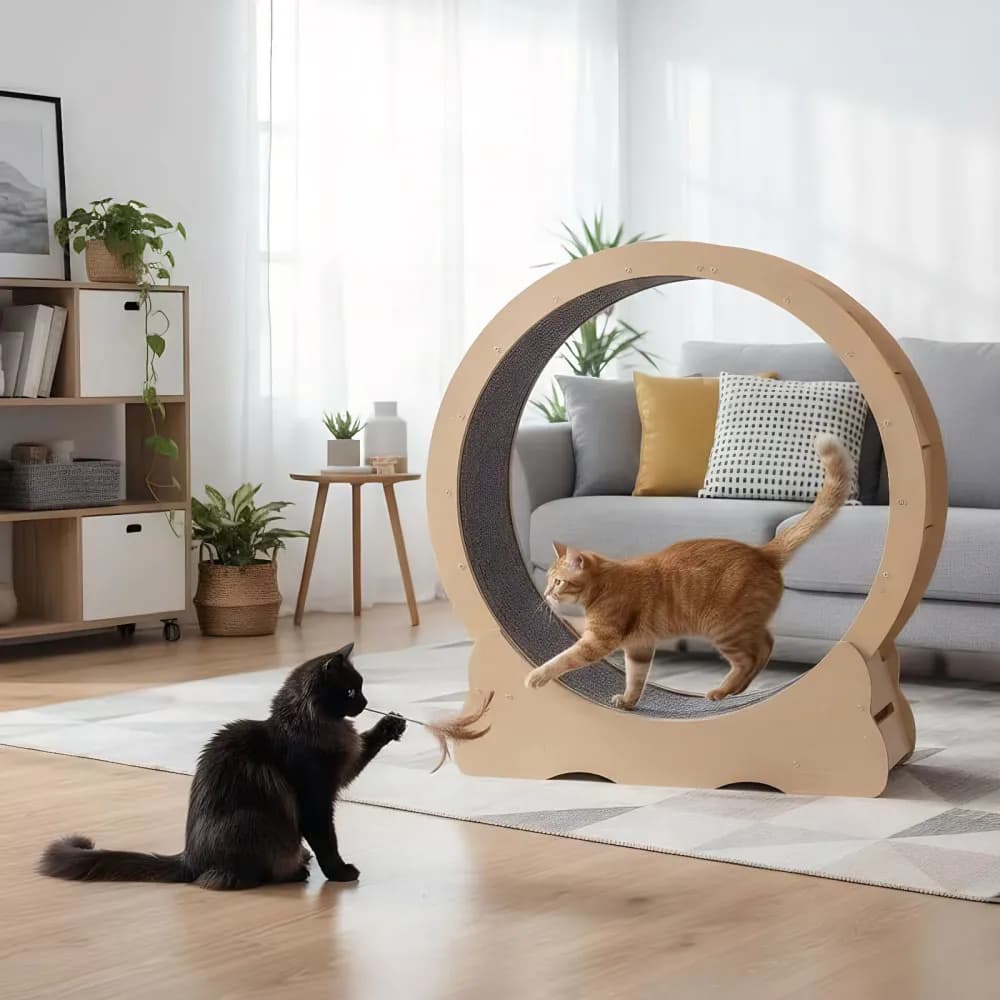 Ruota per Gatti, Grande Tapis Roulant per Gatti da Interno, Ruota per Esercizio con Tappeto Staccabile, Silenziosa e Robusta
