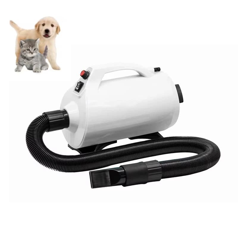 Pet Portable Hair Dryer 2026 2600W 2800W, Dryer for Dogs and Cats with Blowing Function