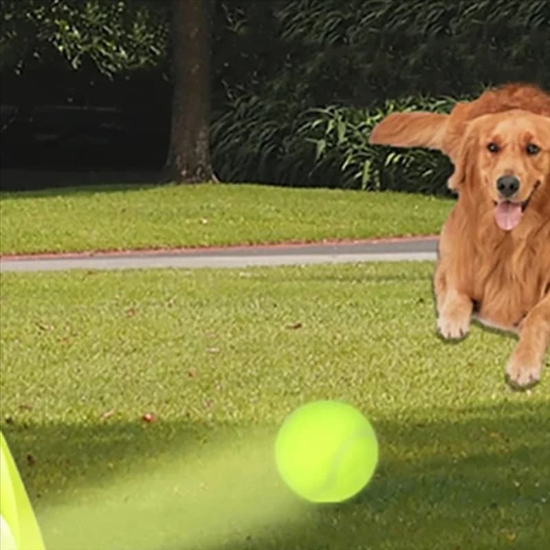 ABBN-Fun Macchina interattiva Divertente catapulta interattiva Lancio ricaricabile Lanciatore di palline da tennis per cani Cani Chase automatico