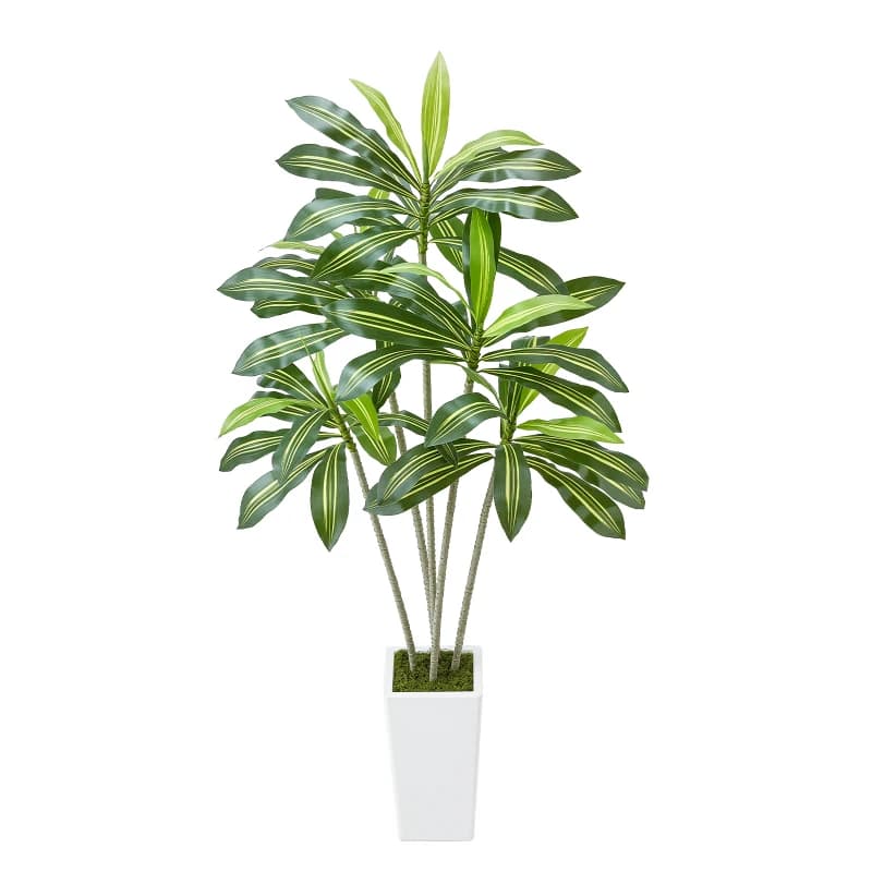 6ft Artificial Dracaena Tree Fake Plant with White Planter Indoor