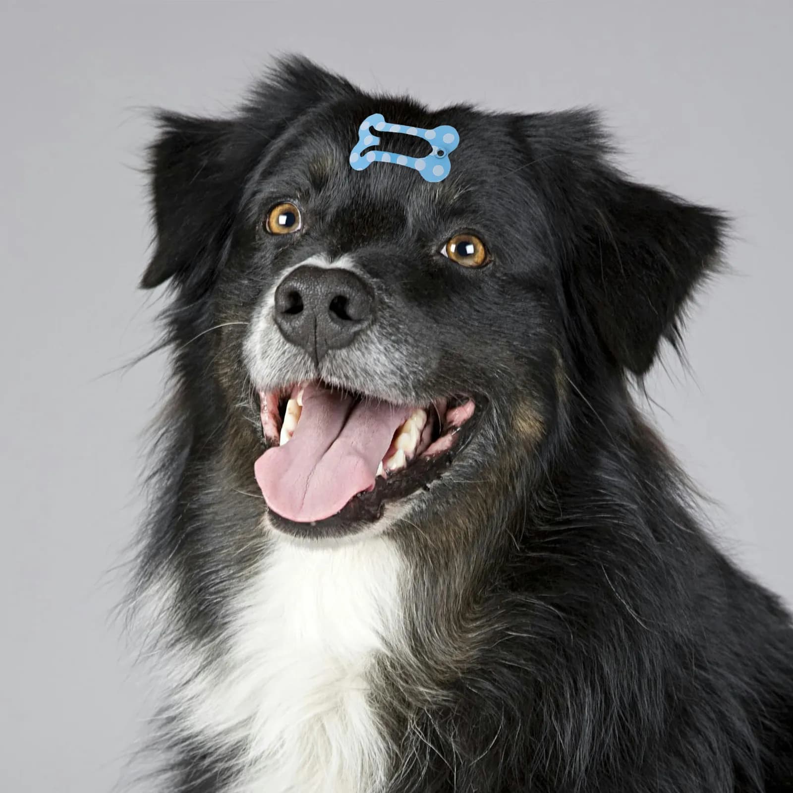 20 fermagli per capelli per cani a forma di osso, leggeri, per animali domestici, accessori per la toelettatura di cuccioli, graziosi fermagli decorativi