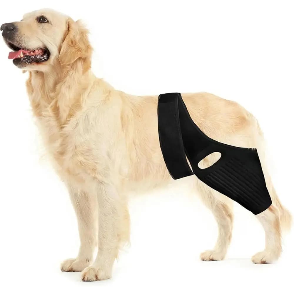 Ginocchiera di sostegno per cani: lesioni ACL delle gambe anteriori e posteriori, displasia dell'anca, artrite e sollievo dalla rotula lussata