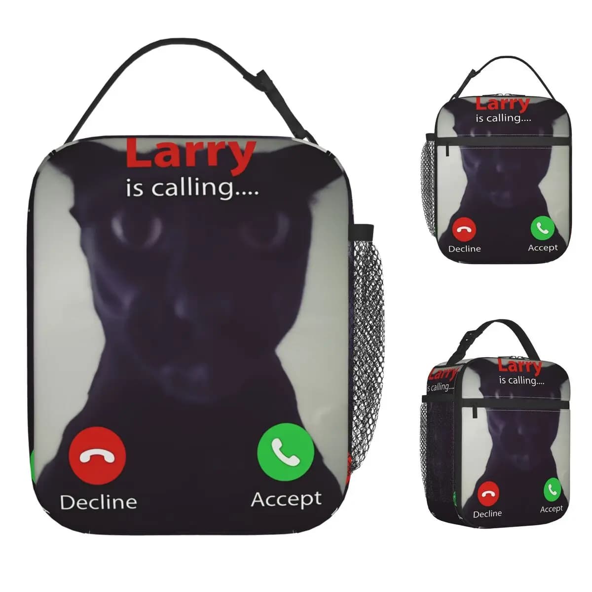 Evil Larry Cat Dank Brainrot Meme Borsa per il pranzo Kawaii Lunch Box Office Tote portatile Borse per alimenti per ragazze Borsa termica di design Oxford