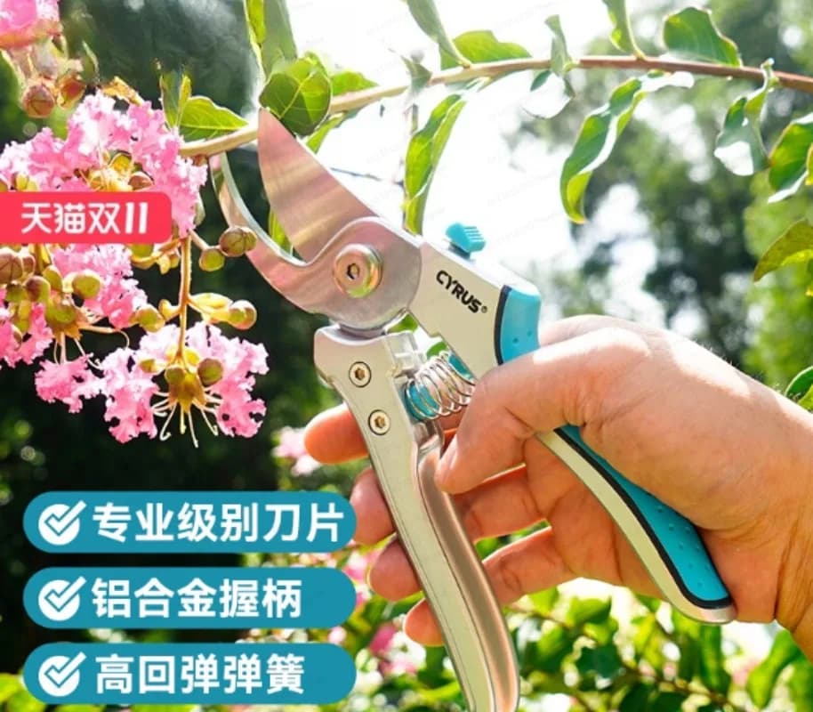 Gardening Gardening Pruning Branches Fruit Trees Snow Willow Rose Pruning Flower Shears