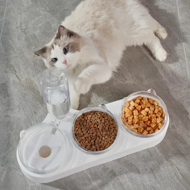 Ciotola doppia per cani Ciotola automatica per animali domestici Alimentatore Abbeveratoio per gatti Ciotola per gatti Ciotola per cani Ciotola per gatti Forniture per gatti Abbeveratoio per acqua