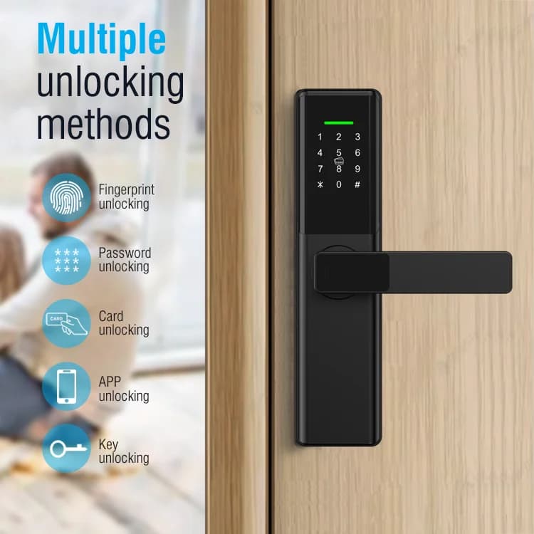 Te'an Smart Digital Door Lock Electric Lock WiFi App Network Connectivity for Aluminum Wood Steel Brass Doors Cloud Memory Card