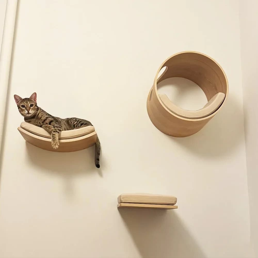 Cat Ledge Steps with Cushions Wall Platform Curved Ledge Wall Mounted Bed for Sleeping, Playing and Climbing