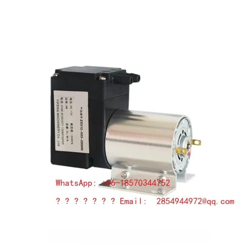 Pompa per vuoto CC silenziosa miniaturizzata 2026 DC12V/24V/220V
