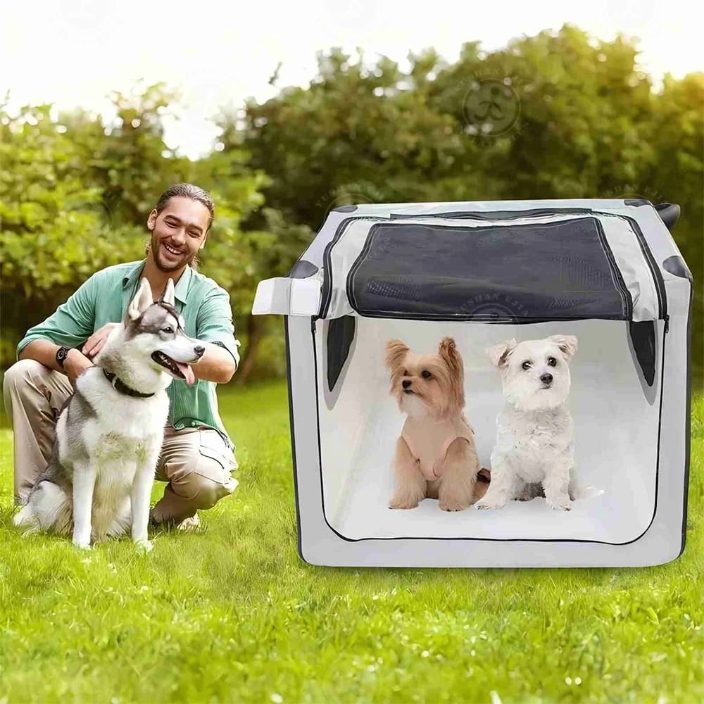 Trasportino Gonfiabile Portatile per Cani da Viaggio, Cuccia da Trasporto per Auto