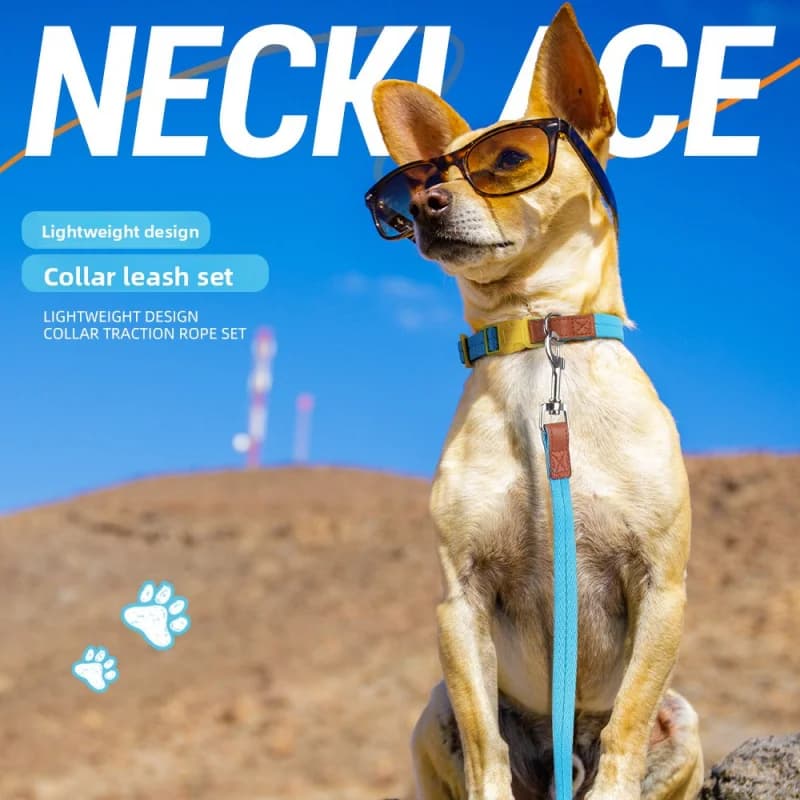 Set Collare e Guinzaglio Anti-Fuga per Cani - Antiscivolo Regolabile per Cani di Piccola e Media Taglia, Riflettente per Passeggiate Quotidiane (CE)