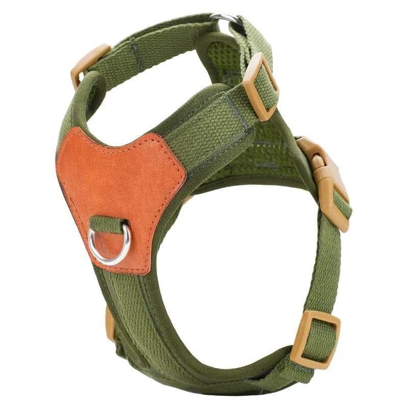 Pettorina Riflettente Antiscivolo per Cani, Resistente alle Esplosioni, con Guinzaglio in Pelle, Accessori per Animali Domestici