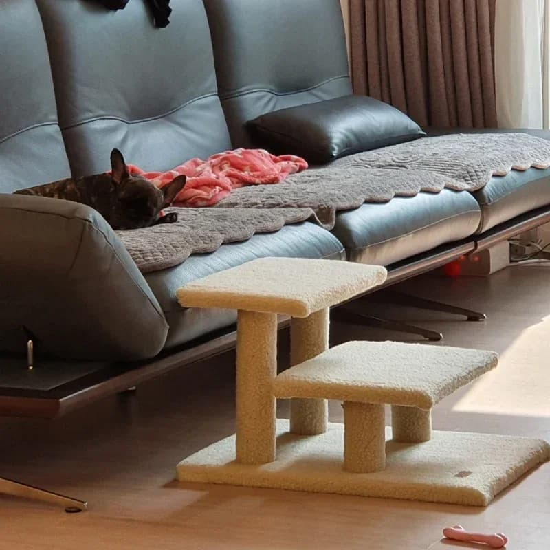 Scaletta da arrampicata per cani da compagnia, gradino per gatti sul divano letto protegge le articolazioni dalla deformazione