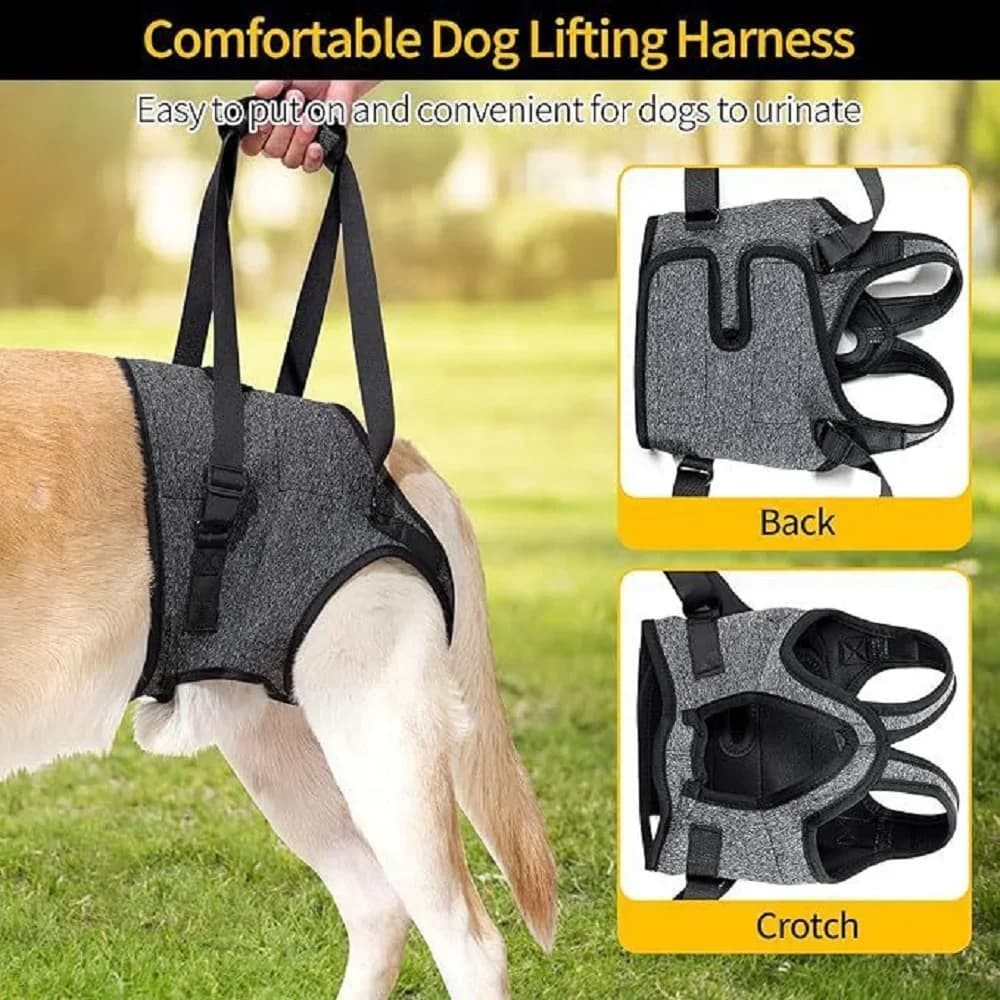 Nuovo supporto per cani anziani per il recupero delle infortuni al ginocchio e della gamba anteriore con cinghie in velcro regolabiliCinta di supporto per lesioni alle gambe posteriori del cane