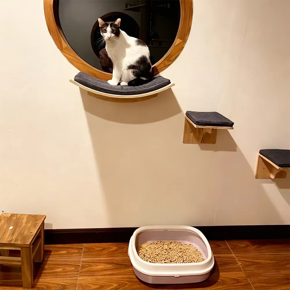 Piattaforma da salto morbida a parete in feltro, adatta per gattini, arredo per parco giochi.