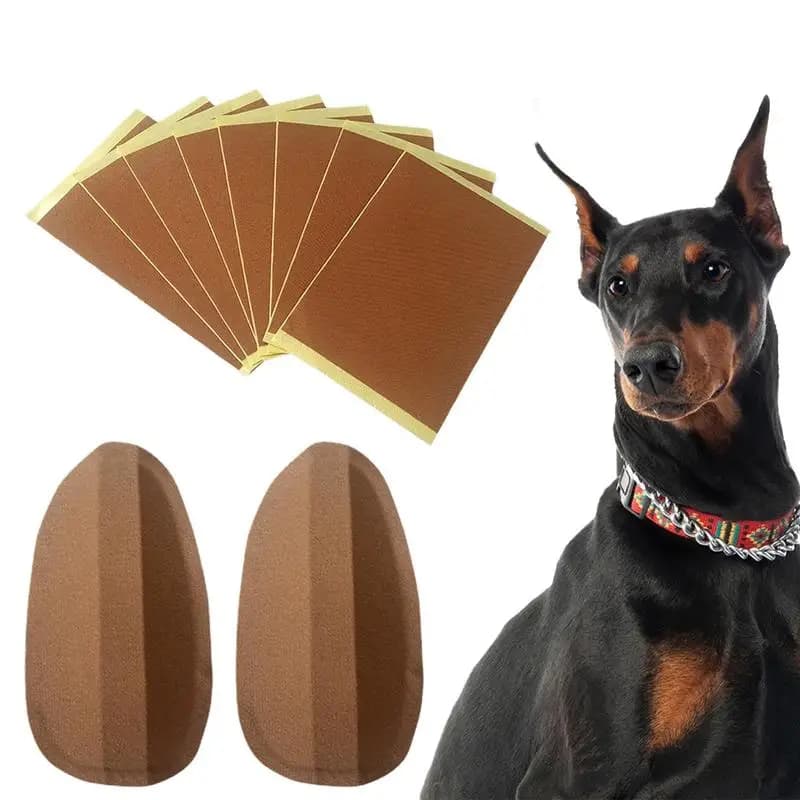 Adesivi per supporto per orecchie di cane Kit di posizionamento per orecchie fissi Doberman Raddrizzatore per orecchie di cucciolo Strumenti di correzione per supporto per orecchie verticale per cani