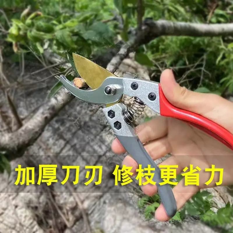 Cesoie per Alberi da Frutto Alice Miyamoto 130DX, Cesoie da Potatura 120DX VS-8 Importate per Rami Spessi