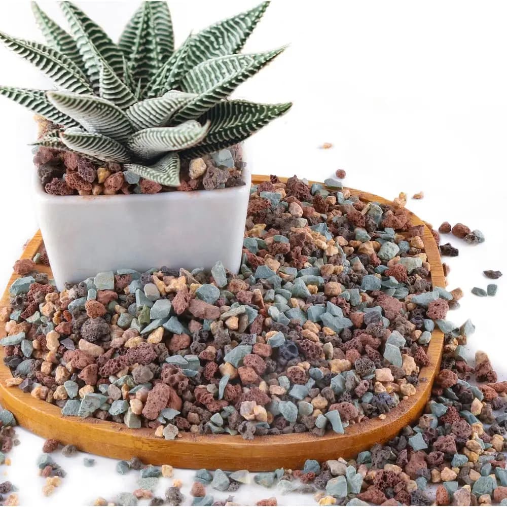 Lava and Pomice Pebbles Mixer for Vegetables, Grass Plants, Cactus, Bonsai, Decorative Garaia for Plants