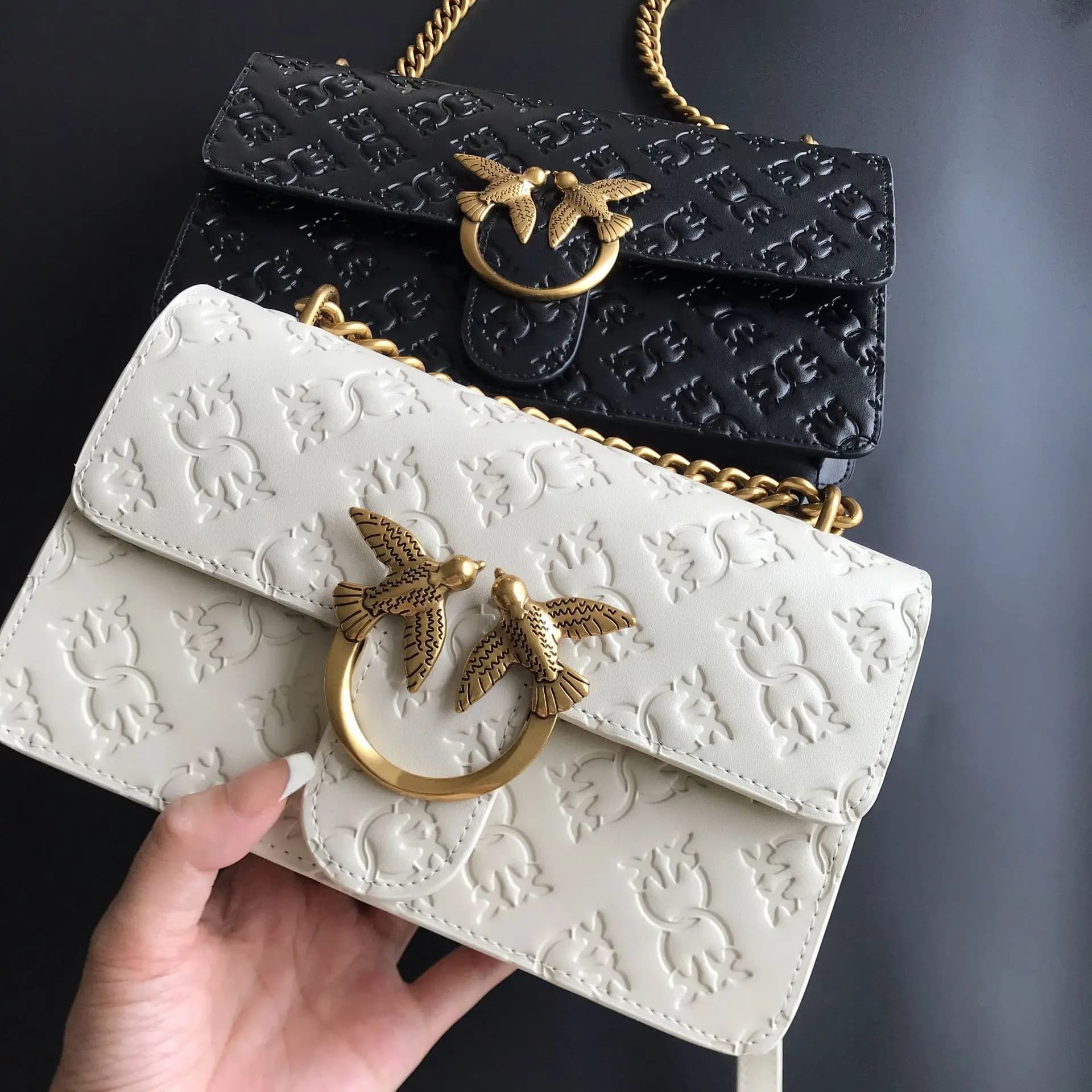 Elegante Borsa a Tracolla con Catena, Borsa Sottospalla 2-in-1 alla Moda, Essenziale Senza Tempo per Ogni Giorno