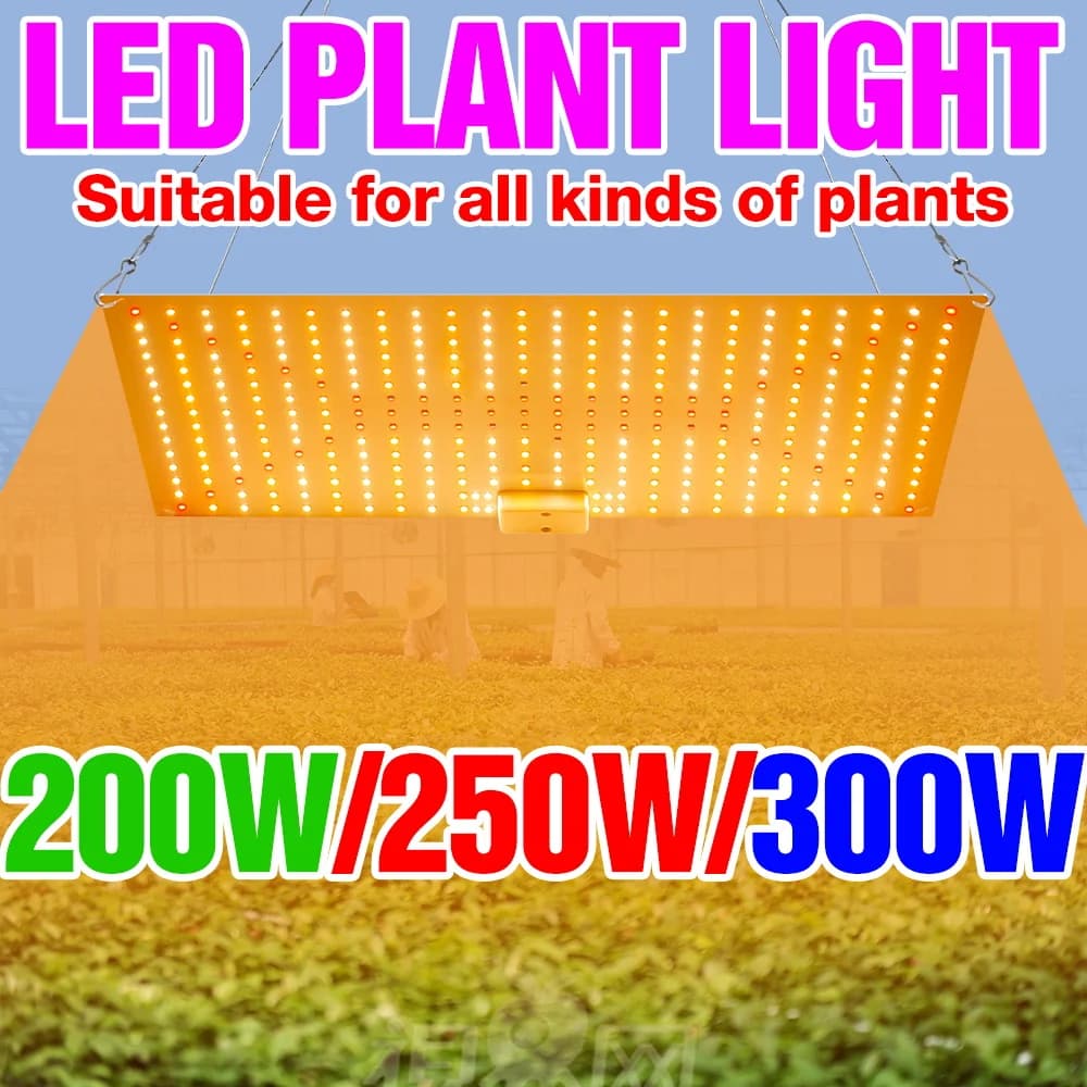 Lampada LED per Piante a Spettro Completo 300W 100-277V, Illuminazione Quantum Board per Serra, Tenda, Piante Grasse, Cactus, Semi, Fiori