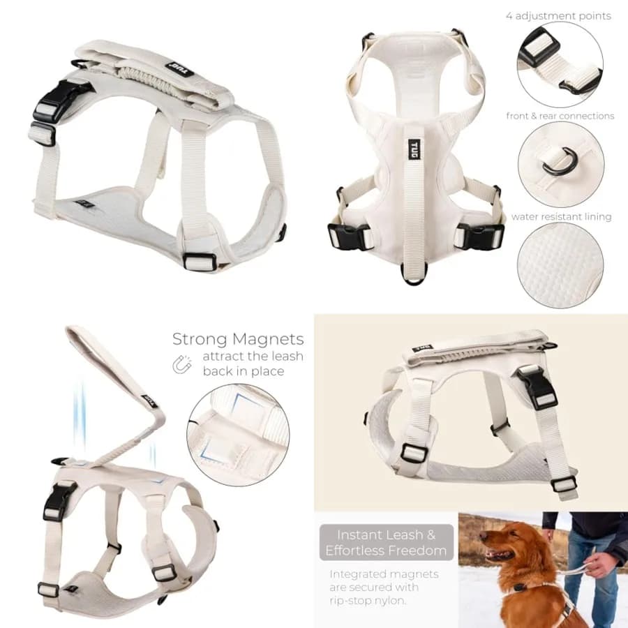Pettorina per cani con guinzaglio integrato a attacco magnetico per un controllo rapido /Crema
