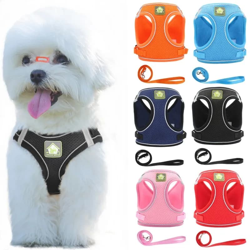 No Pull Dog Harness Reflective Pet Harness and Leash Set Breathable Mesh Dog Chest Strap Cat Traction Rope Walking Dog Supplies