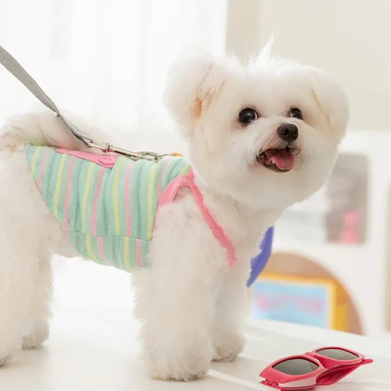 Spring Breathable Dog Clothes Cute Colorful Stripes Summer Vest Harness for Bichon Teddy Pet Clothing Clothes for Small Dogs
