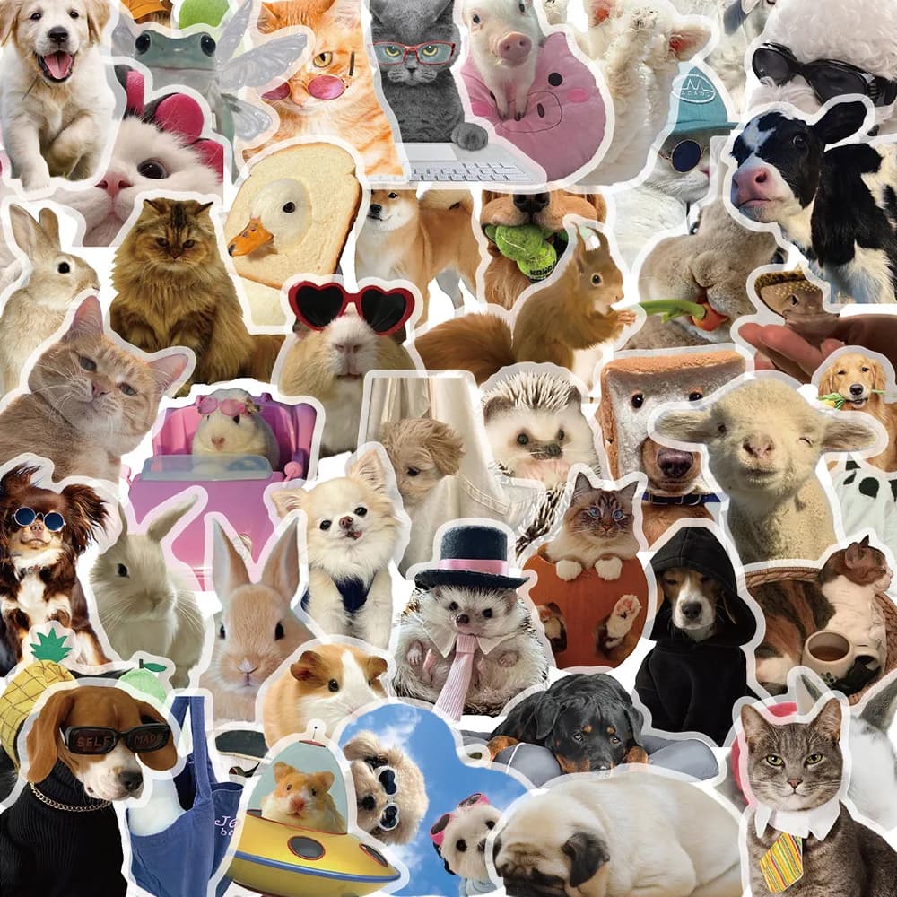 Confezione da 50 adesivi per bambini simpatico cartone animato gatto cane meme/gattino adesivi per notebook per chitarra con decorazioni in PET trasparenti impermeabili