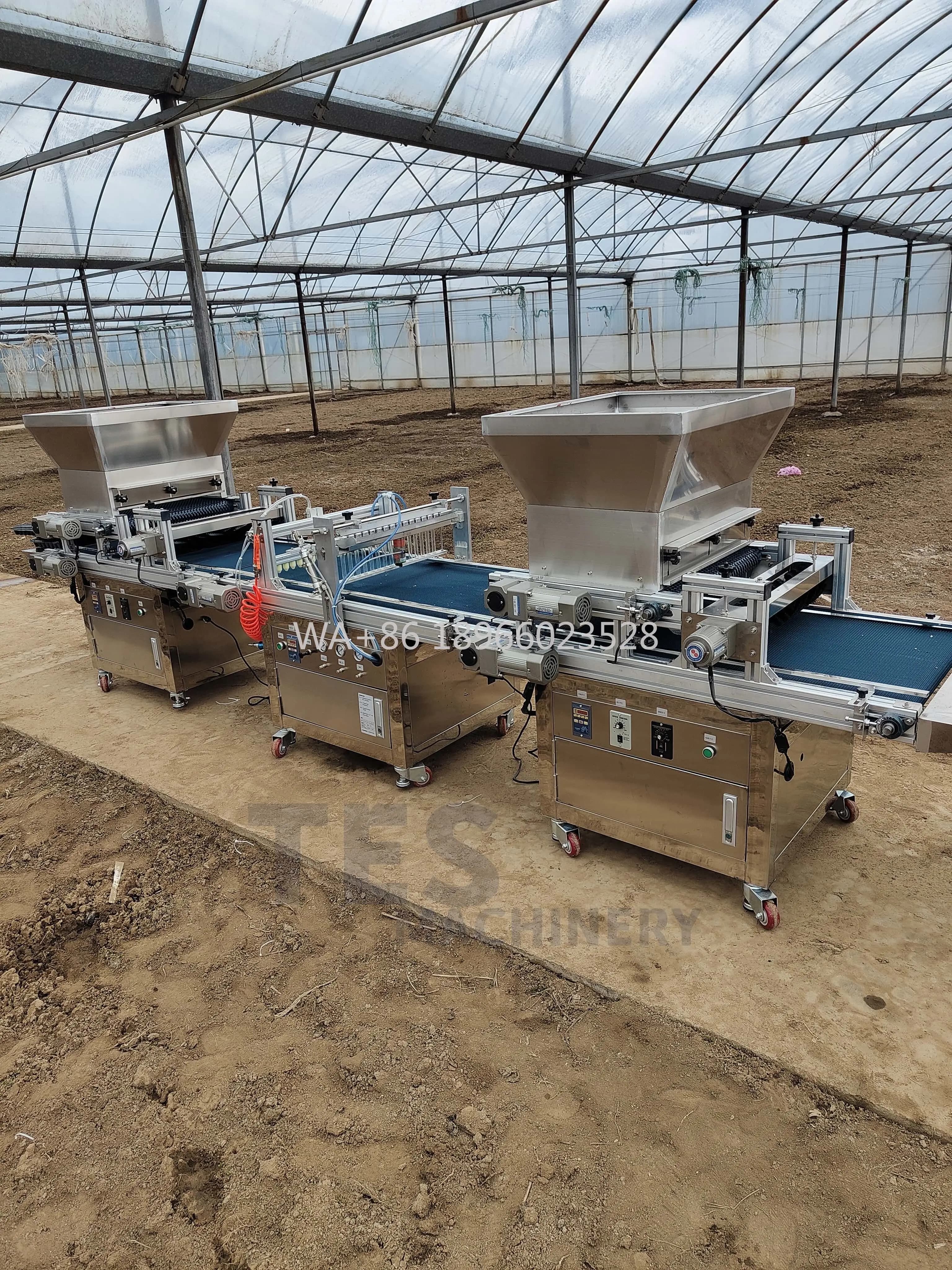 High Accuracy Flower Seed Tray Bar Tray Machine For Plants Automatic Induction Machine