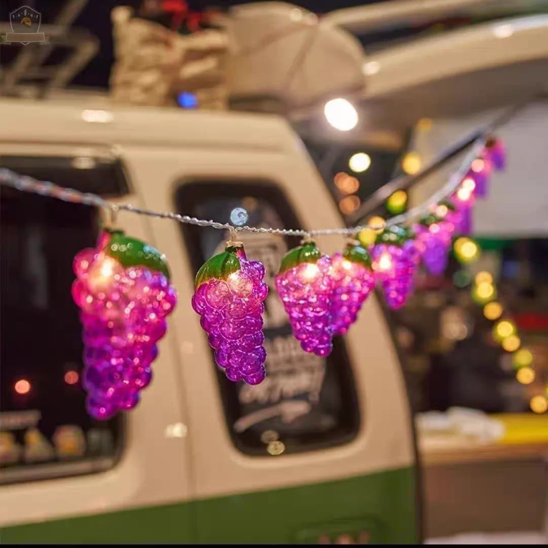 Grape LED String Lights Warm White Fairy Lights Battery Operated Decorative Lights for Bedroom Garden, Party Holiday Decor