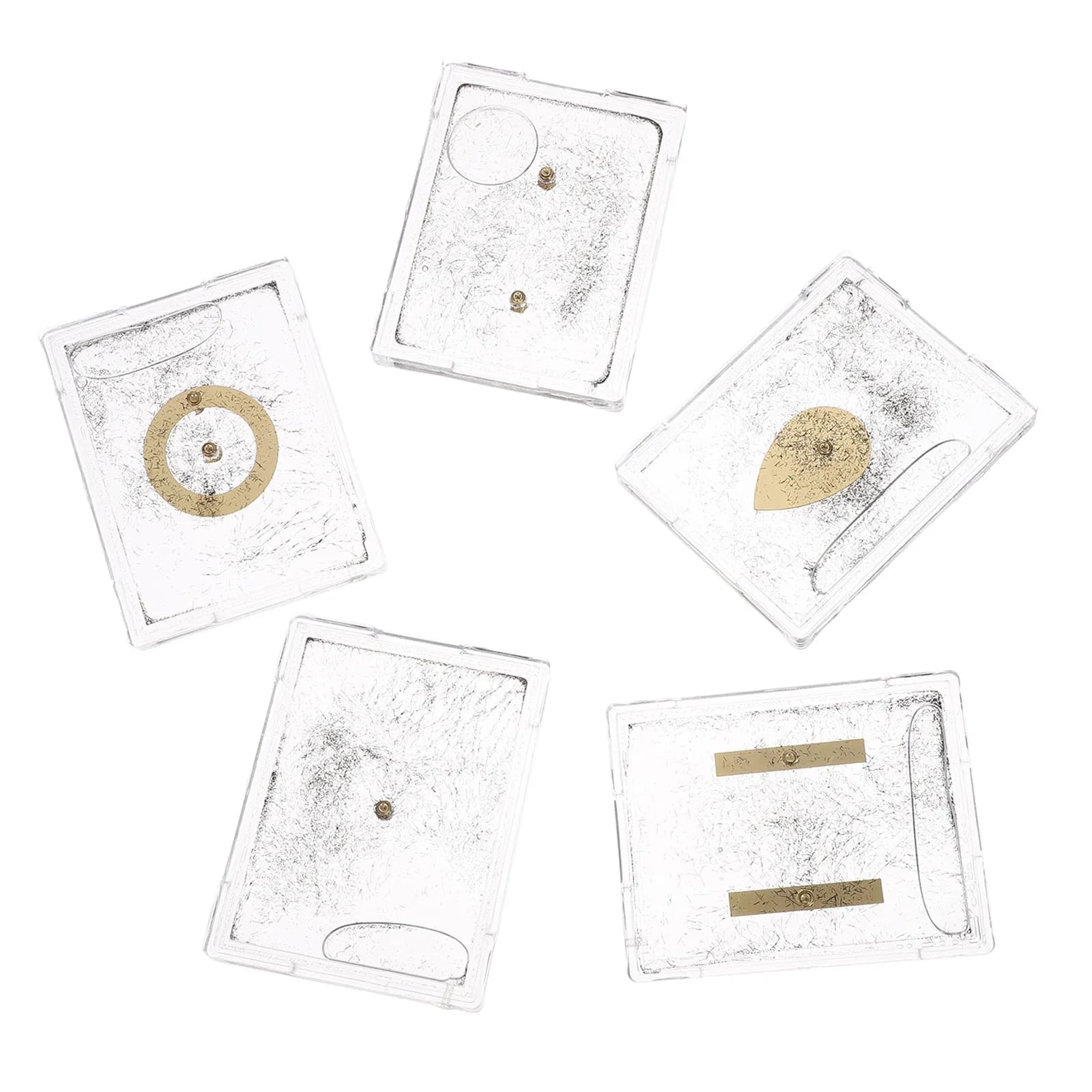 Set of 5 Magnetic Field Demonstration Devices, Electromagnetism Didactic Instrument, Iron Powder Box for Physics Experiments for Students