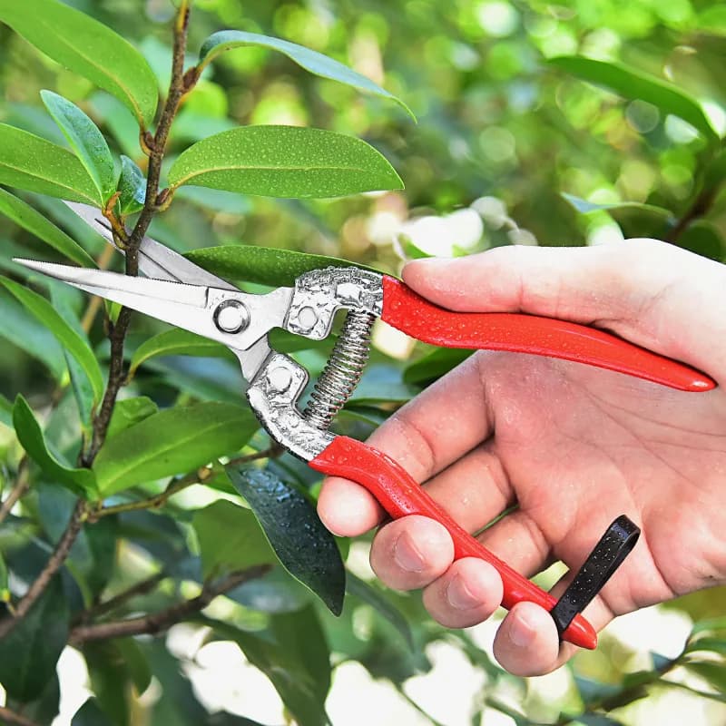 Stainless Steel Precision Potting Scissors for Flowers and Bonsai, Gardening Tool with Red Handle