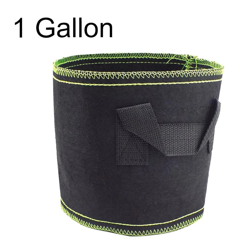 1Gal plant grows the bag floor pot of flowers seeds without tissue seeds cultivating plant vegetables Garden equipment nursery jars gardening Q1