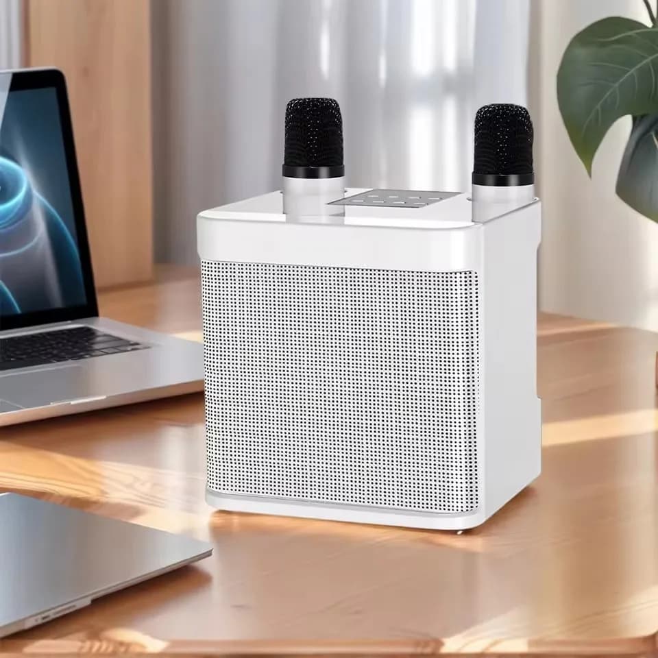 Altoparlante Wireless con Microfono, Macchina Karaoke Portatile Bluetooth, Cassa Audio Musicale, Colonna Sonora Bluetooth