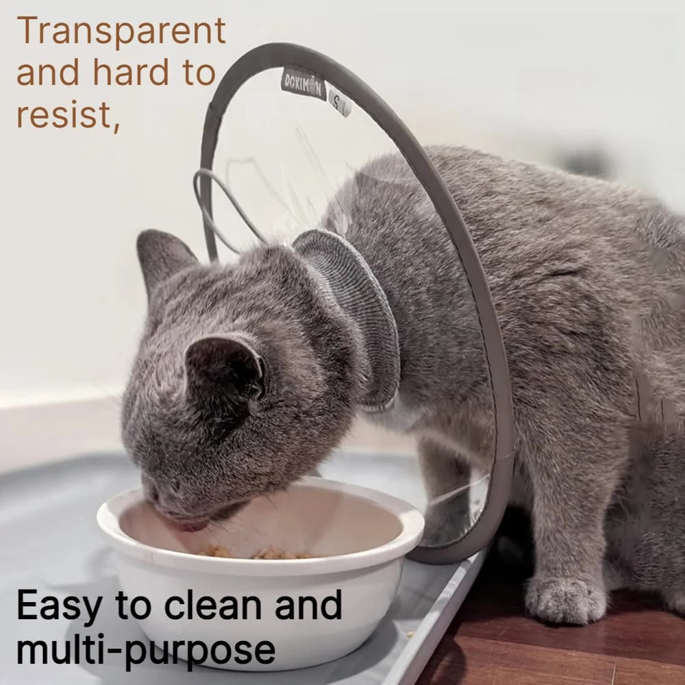 For Pets Transparent PVC Elizabeth Collar Waterproof Anti-Lick Neck Cone Cat Dog Surgery Recovery Collar