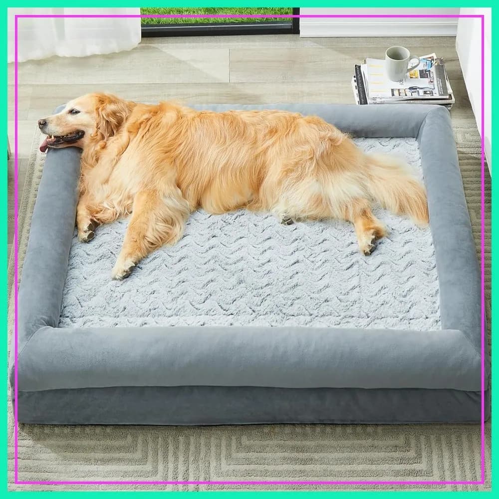Cuccia XL Extra Large per Cani, Divano Lavabile per Cani con Rivestimento Impermeabile Rimovibile, Letto Ortopedico Grande per Animali Domestici con Lati Rinforzati