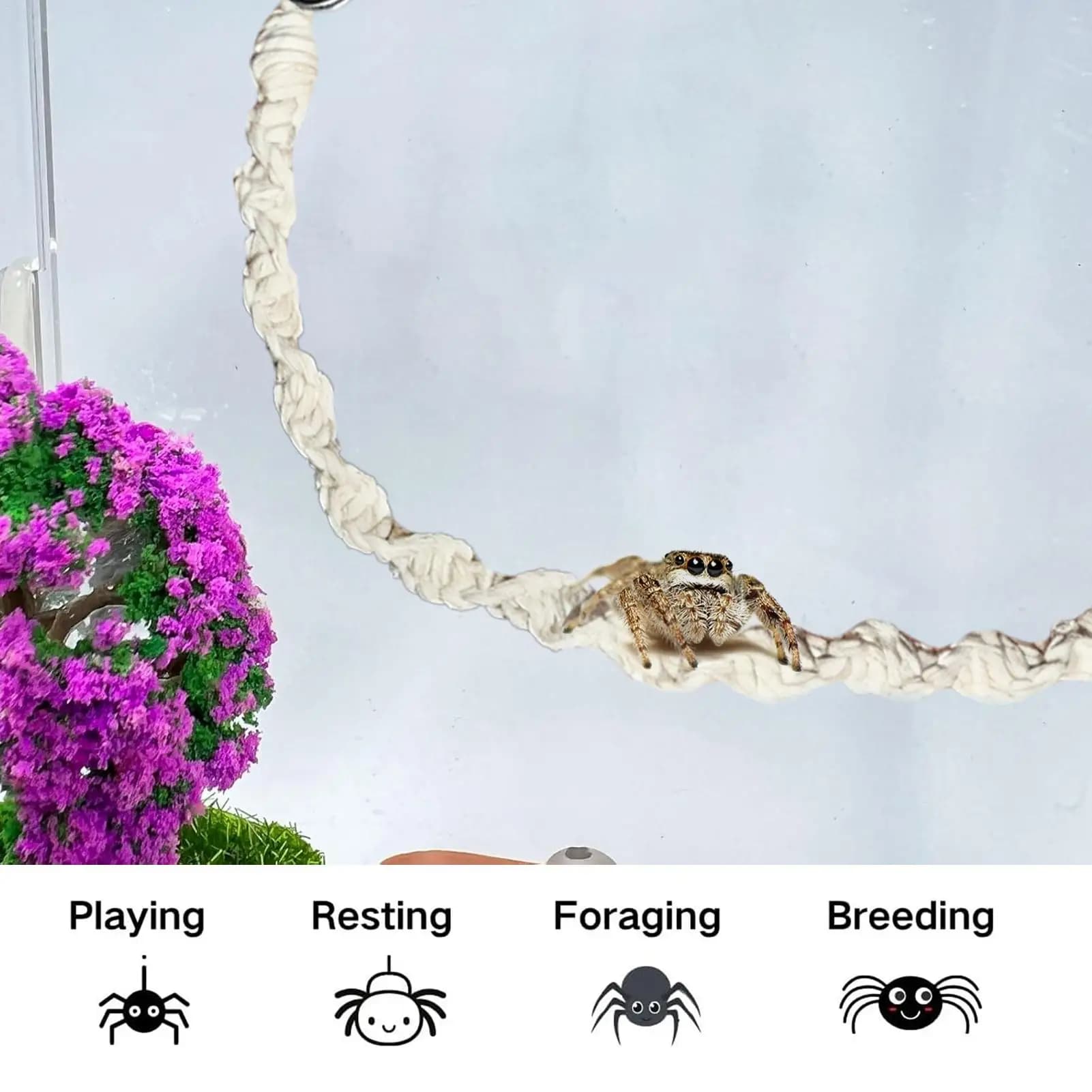 Jumping spider fence accessories Corda hanging Swinging Spider Terrarium Decor for terrarium Breeding Geckos Shaft Rane