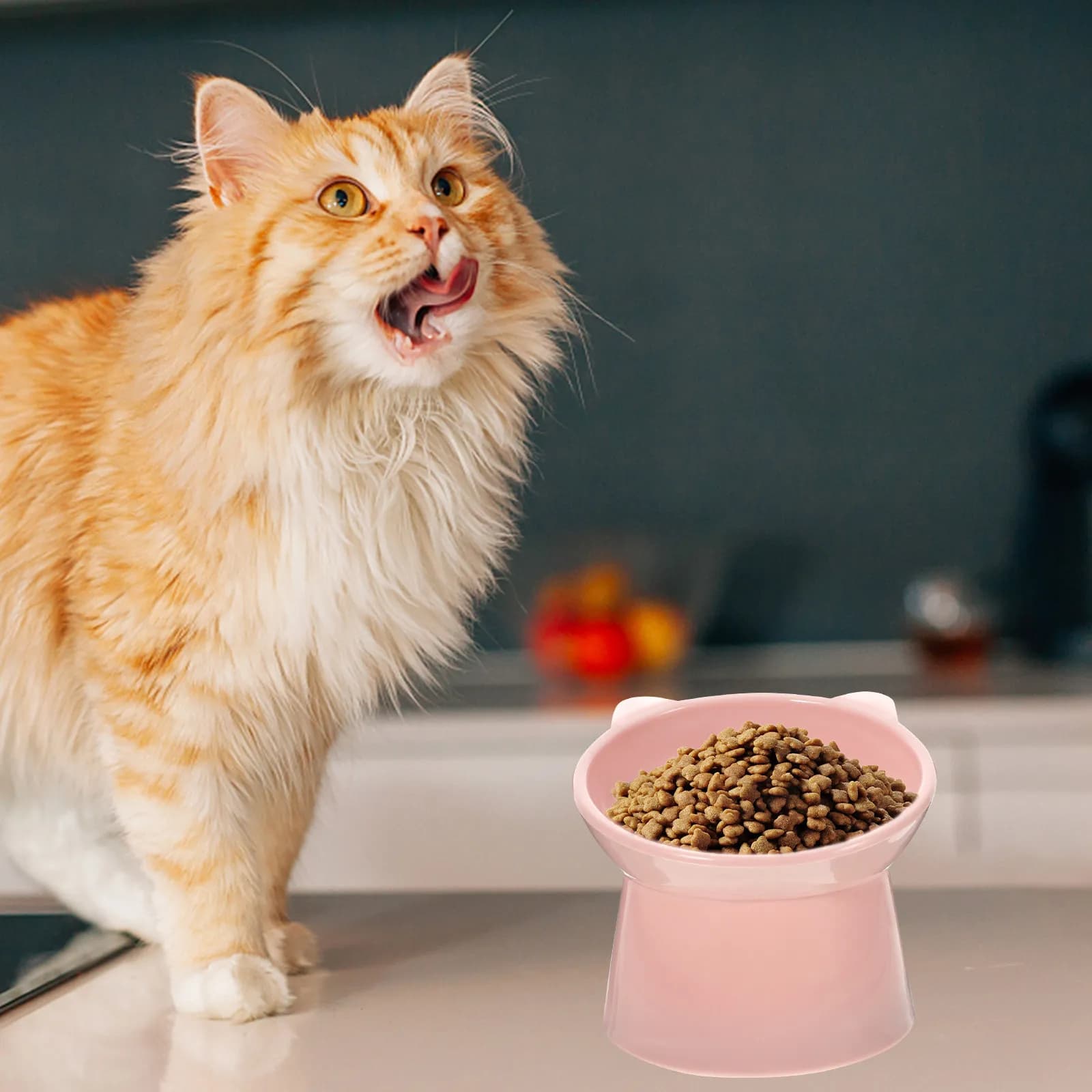 Ciotola Rialzata per Gatti, Mangiatoia Inclinata per Animali Domestici da Interno, Base Antiscivolo, Design Ergonomico, Facile da Pulire, in Plastica