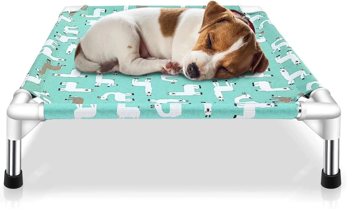 Cuccia rialzata per cani di piccola taglia, per uso interno ed esterno, comoda e resistente