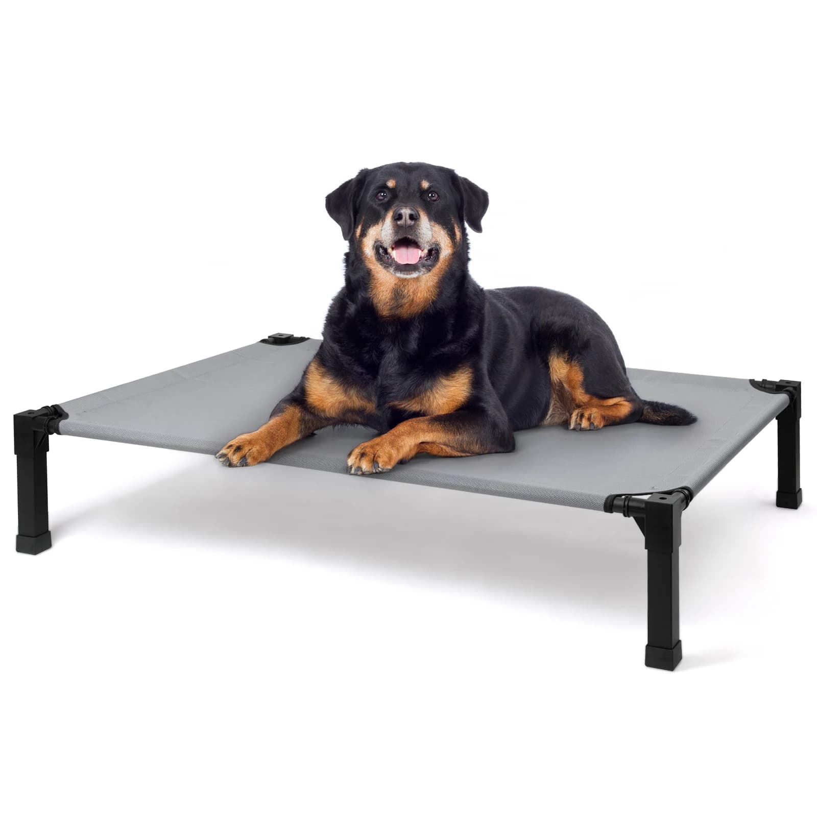 Uplifted dog bed, refreshing raised cot for pets with washable breathable mesh to chew and metal structure, portable dog bed