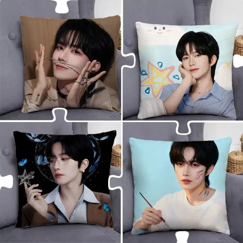 Huang Xing Desire4 Pillow Case Pillowcase Home Sofa Cushions Car Cushions Pillowcover Office Pillowshell Pillow