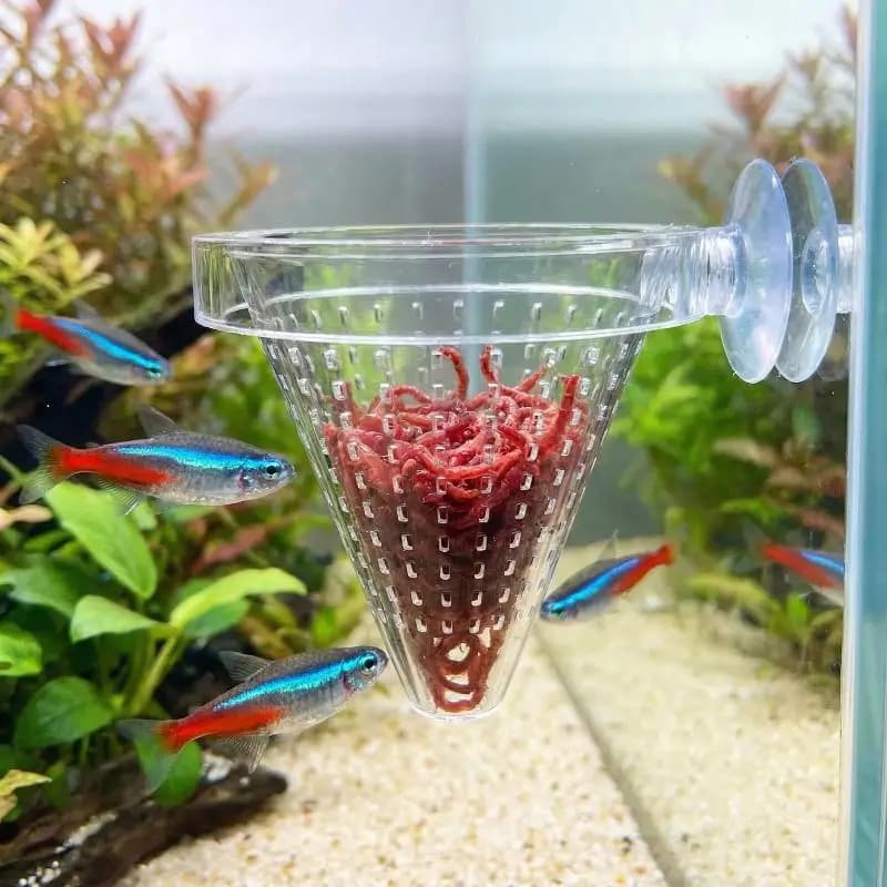Transparent Acrylic Aquatic Plant Cup Aquarium Fish Tank Plant Pot With Suction Feeding Container Aquarium Accessories