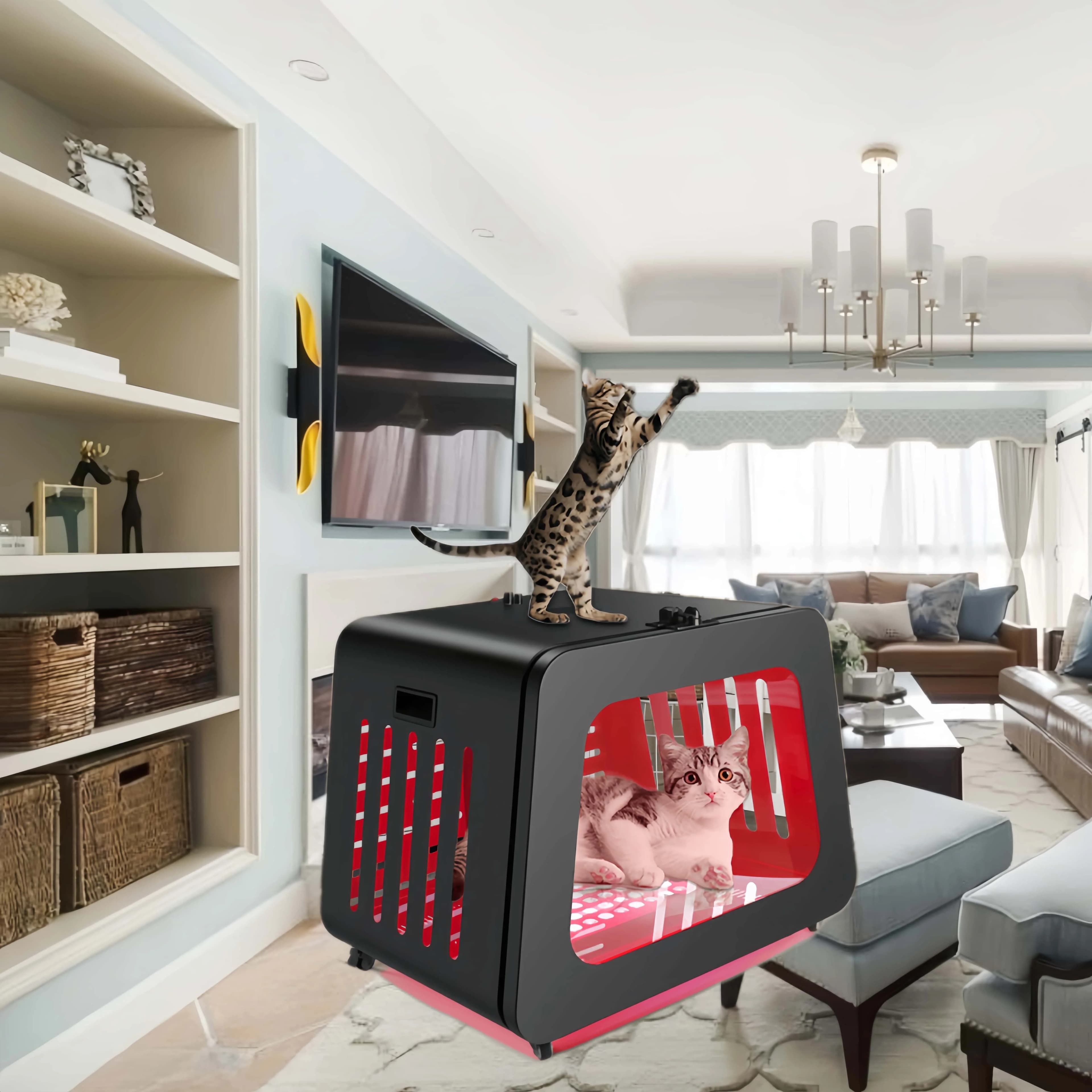 Azure PDT Dispositivo per la salute dei cani e dei gatti a infrarossi OEM ODM Carrier Kennel Terapia della luce rossa Letto con tappetini e cuscinetti traspiranti per animali domestici