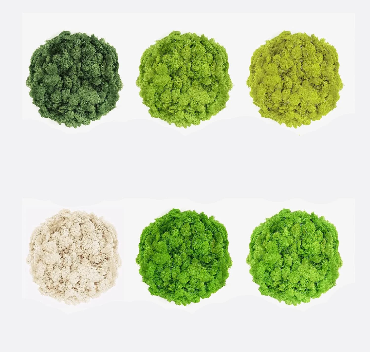 20/40/60g Vita Eterna Muschio Piante Verdi Artificiali Artigianato FAI DA TE Erba Mini Paesaggio Casa Soggiorno Giardino Decor Erba Finta