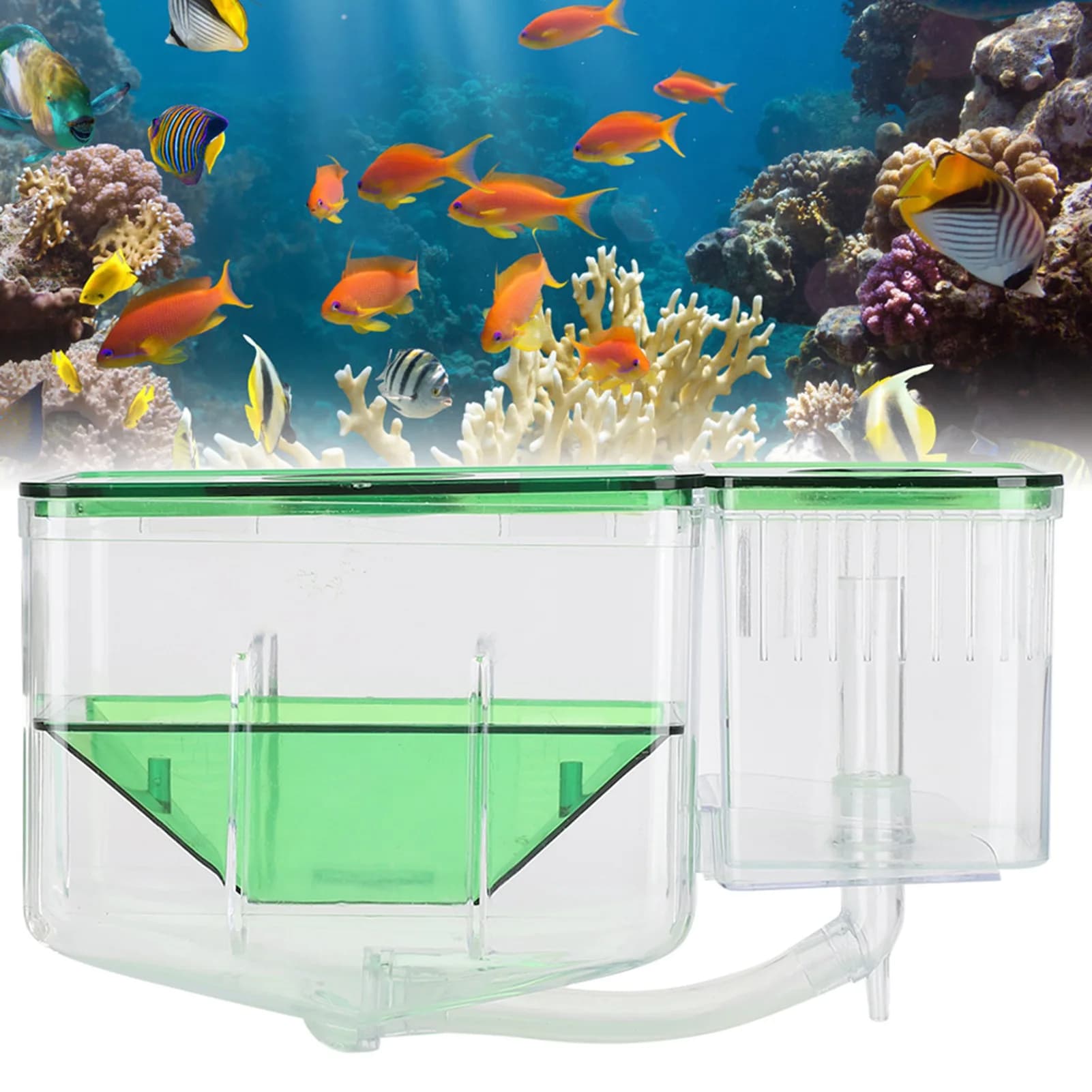 Plastic Fish Breeding Box Isolation Fry Protection Fry Isolation Box Breeding Separator Protective Net Fish Isolation Net