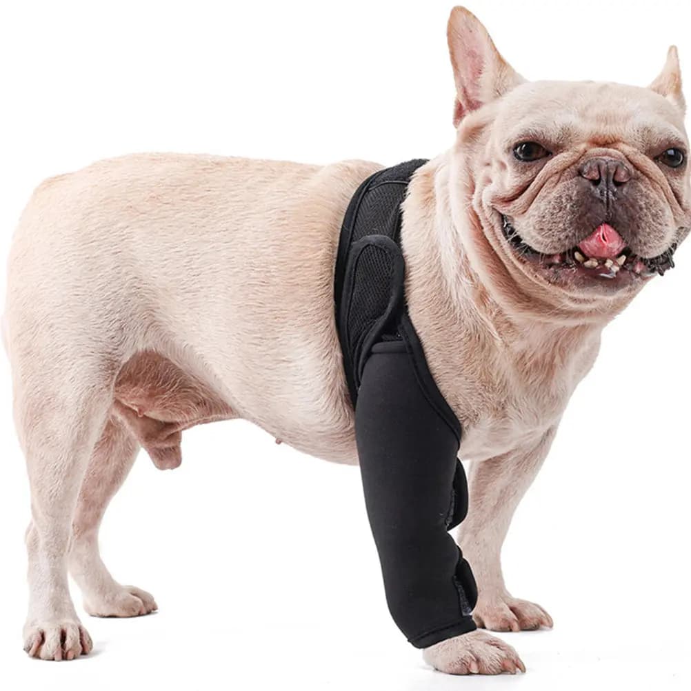 Supporto per Ginocchio per Cani in Neoprene con Cinghia Regolabile per Cuccioli e Cani Anziani, Fascia di Supporto per Lesioni, Ginocchiera per Cani