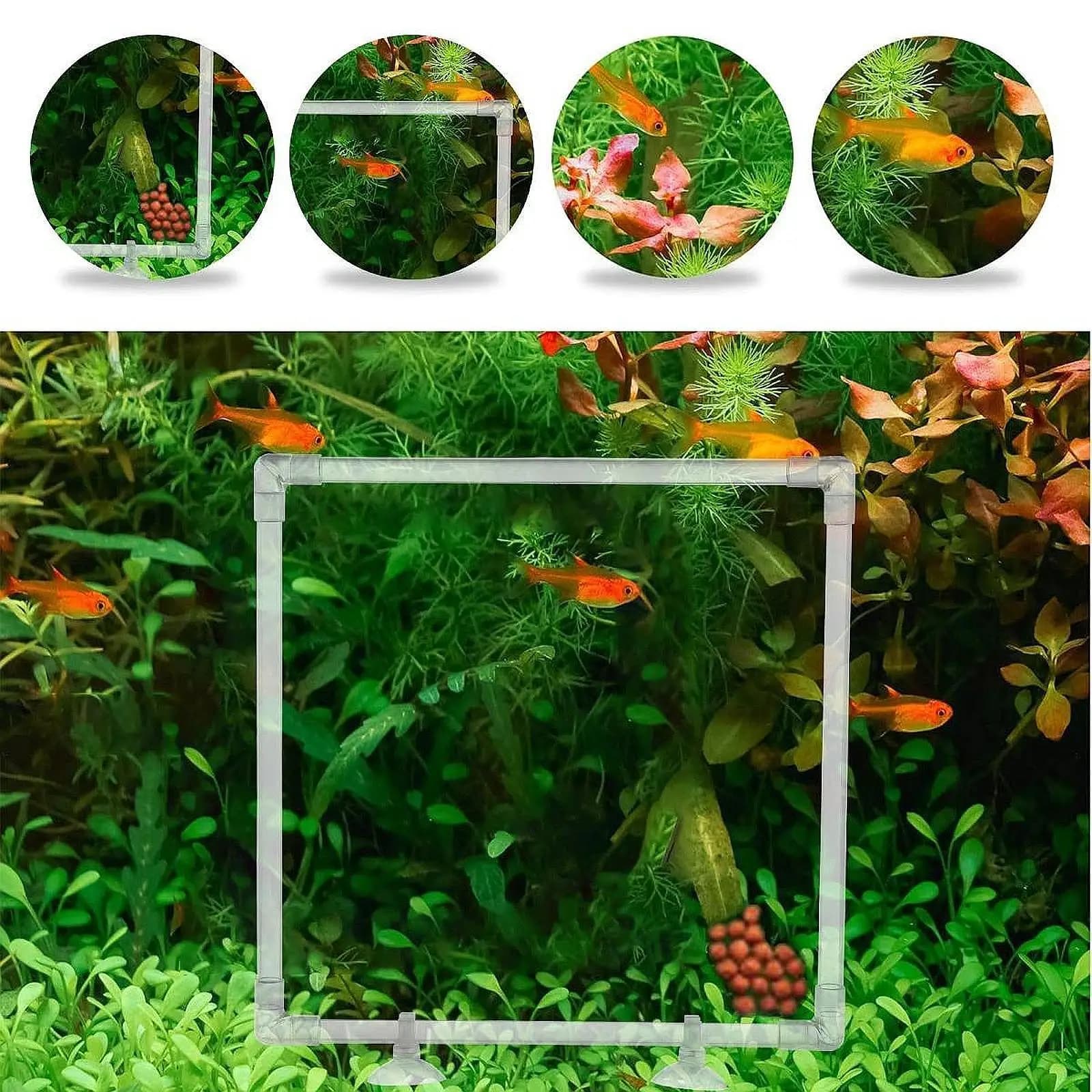 Water Plant Floating Barrier, Acrylic Ring, Water Plant Separator Tray, Artificial Aquatic Decoration