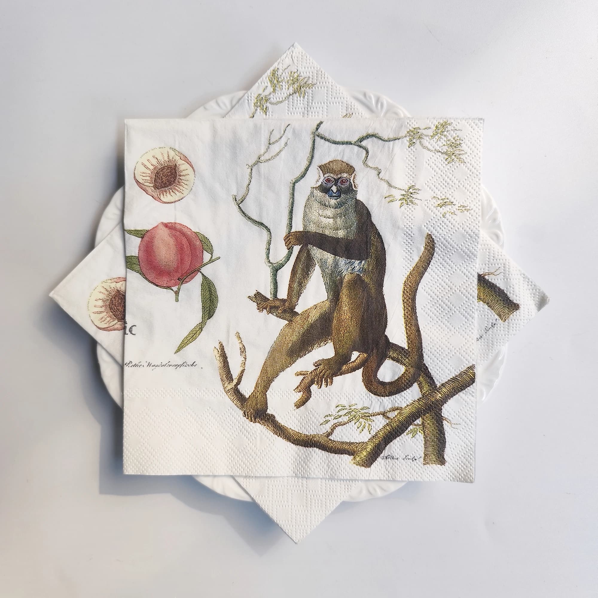 20 Count Watercolor Tropical Toucan Monkey & Peach Printed Paper Napkins, Perfect for Afternoon Tes, Picnic, Decoupage Crafts