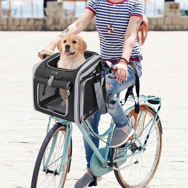 Cestino per bici per cani o gatti, zaino porta animali espandibile con lato morbido con 4 porte aperte, portabici pieghevole per cani