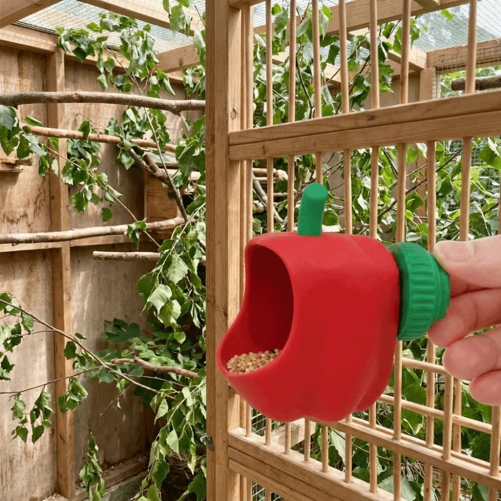 Unique Hanging Parrot Cage Feeder Plastic Funny Bird Food Basin Chili Shaped Ventilation Small Pet Feeding Bowl Cage Mount