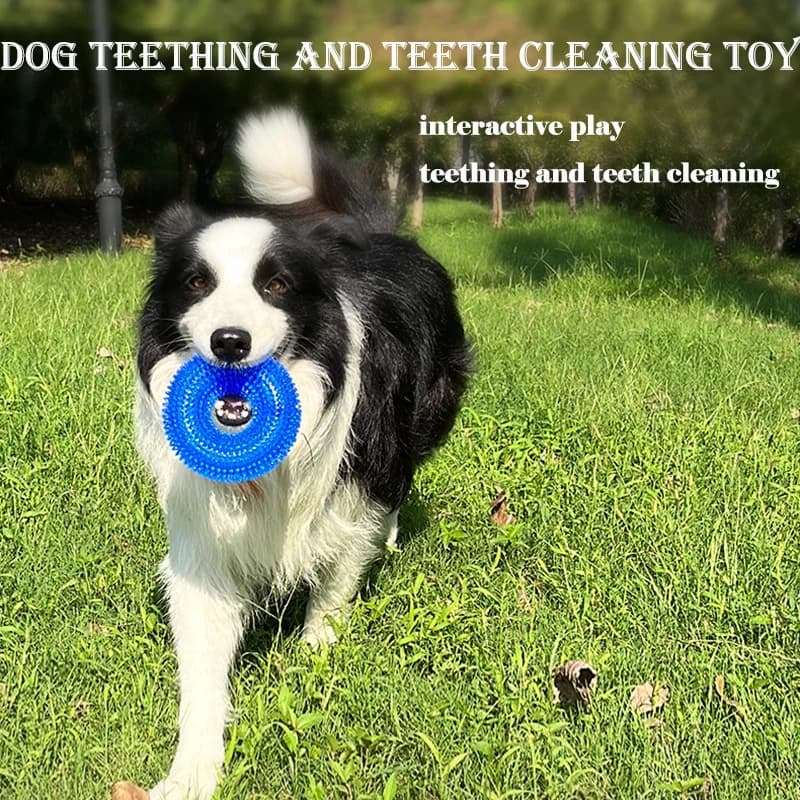 Durable Dog Chew Toy Squeaky Thorn Ring Interactive Sound Training Natural TPR Rubber Non Toxic Teeth Cleaning Grinding